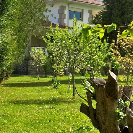 Albergue Pallanes Tui Exterior photo