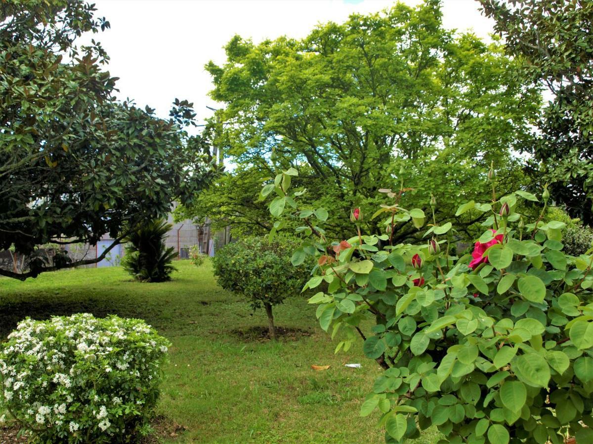 Albergue Pallanes Tui Exterior photo