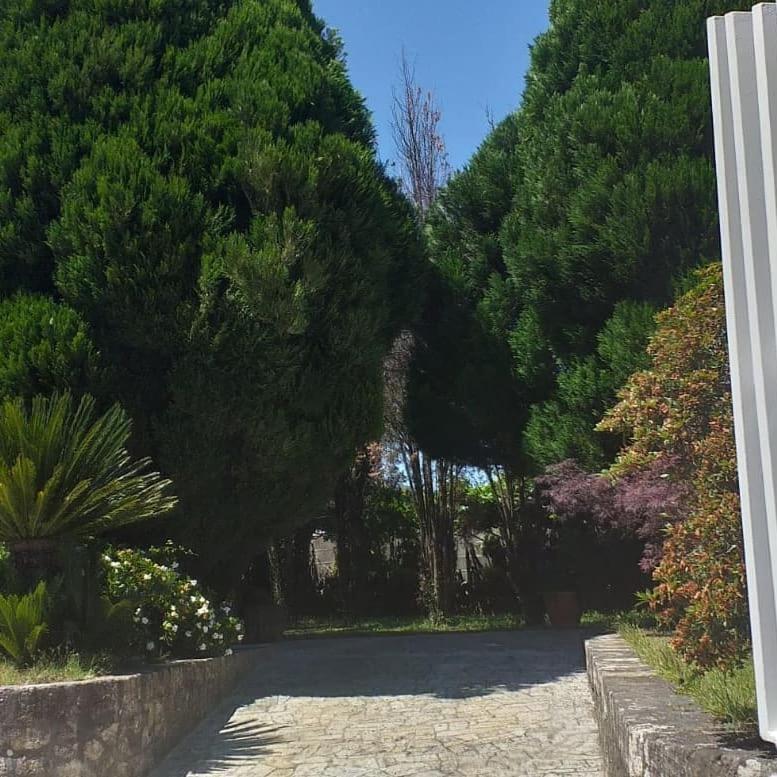 Albergue Pallanes Tui Exterior photo